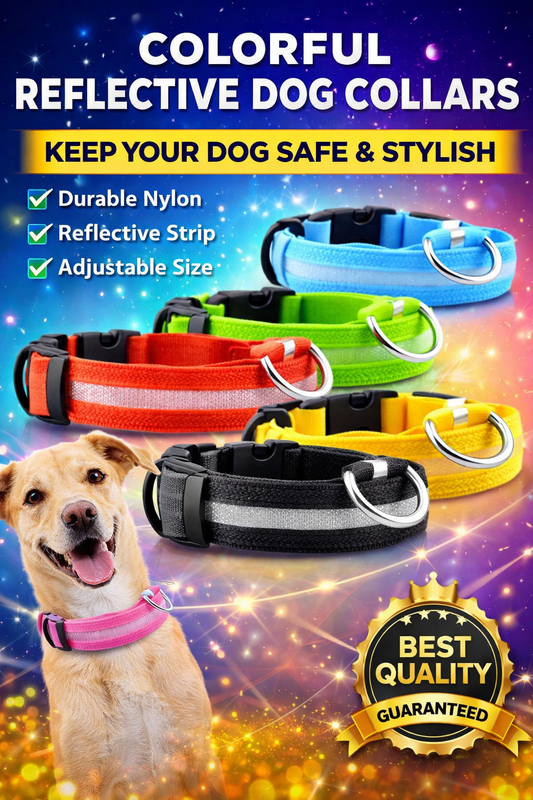 LED Pet Safety Collar