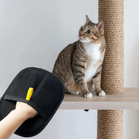 Pet Hair Removal Gloves Brush