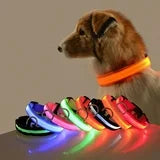 LED Pet Safety Collar