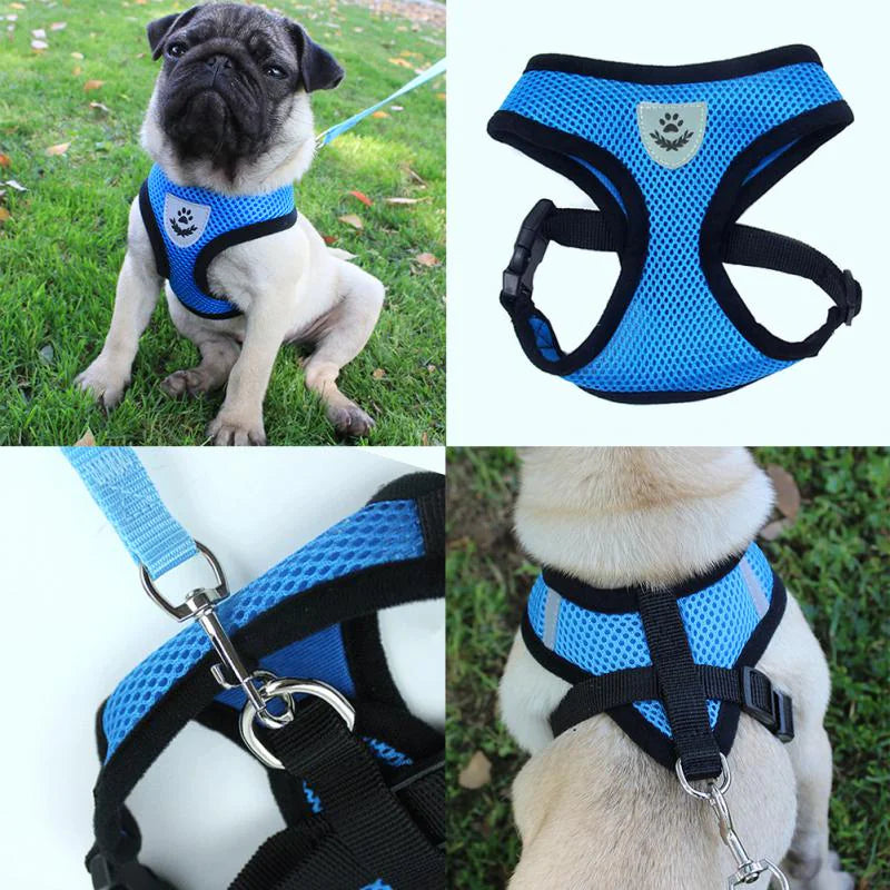 Cat Dog Pet Harness Adjustable Control Leash
