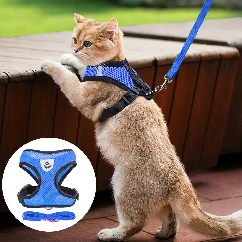 Cat Dog Pet Harness Adjustable Control Leash